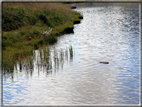foto Lago di Montalon